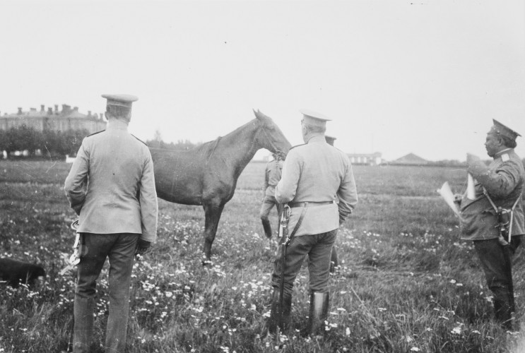 Hevosten arviointia kentällä 1910-luvun alussa (kuva: Mannerheim-museo)
